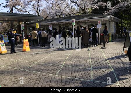 Les foules plus minces, mais encore beaucoup de gens ont apprécié la vue des cerisiers en fleurs dans le populaire parc des cerisiers de Tokyo au milieu de l'épidémie de coronavirus. Banque D'Images