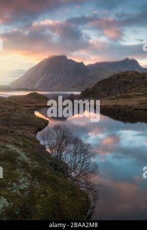 Vue sur un fjord norvégien en été sur l'île de Senja dans le nord de la Norvège, beau paysage Trosso pays coucher de soleil coloré, soleil de minuit en été Banque D'Images