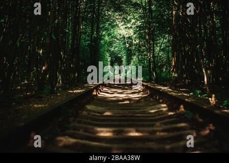 Attraction ferroviaire de Klevan - tunel d'amour avec les murs verts à l'Oblast de Rivne, Ukraine Banque D'Images