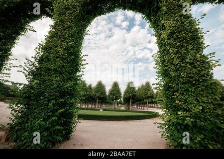 Arche verte piruée de boxwood dans le parc ensoleillé proche. Foyer sélectif Banque D'Images