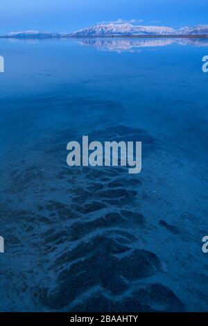 États-Unis, Utah, Great Salt Lake, Antelope Island State Park, Banque D'Images