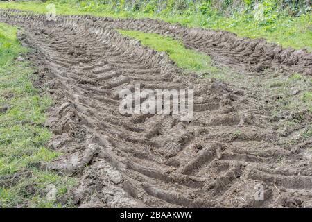 Les crêtes dans la boue profonde faite par les pneus du tracteur / pneumatiques sur l'herbe. Les traces de pneus, ce qui rend les voies, d'un bâton dans la boue, la boue, la texture de surface boueuse, la boue, la boue de l'hiver Banque D'Images