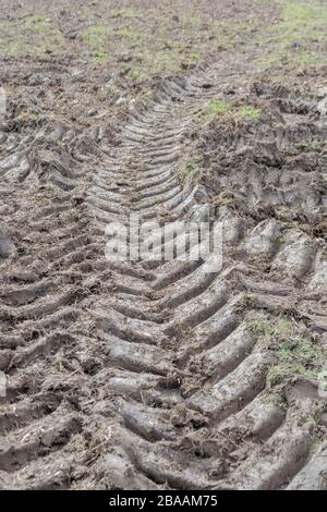 Les crêtes dans la boue profonde faite par les pneus du tracteur / pneumatiques sur l'herbe. Les traces de pneus, ce qui rend les voies, d'un bâton dans la boue, la boue, la texture de surface boueuse, la boue, la boue de l'hiver Banque D'Images