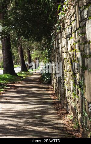 Asheville, États-Unis. 26 mars 2020. Un trottoir et une rue normalement fréquentés semblent désertés à Asheville, Caroline du Nord, États-Unis. Crédit: Gloria Good/Alay Live News Banque D'Images