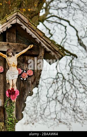 Demi-vue de Jésus sur la croix, en arrière-plan les branches d'un arbre Banque D'Images