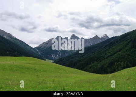 Vue d'été sur les prairies et les montagnes dans la région d'Axamer Lizum, Tyrol, Autriche Banque D'Images