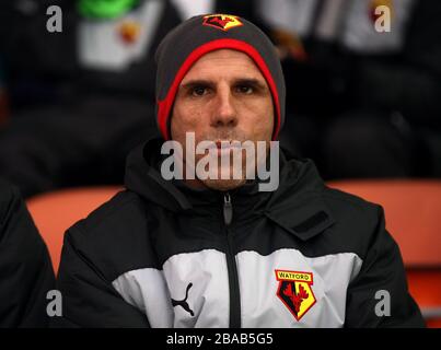 Le directeur de Watford Gianfranco Zola Banque D'Images