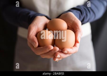 Oeufs de poulet crus dans les mains de la femme. Banque D'Images