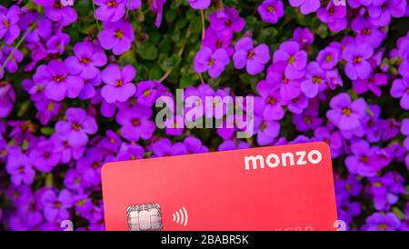 Stone / UK - 26 mars 2020: Carte bancaire Monzo gros plan photo avec les fleurs sur un fond flou. La photo met en évidence la couleur de corail unique du M Banque D'Images