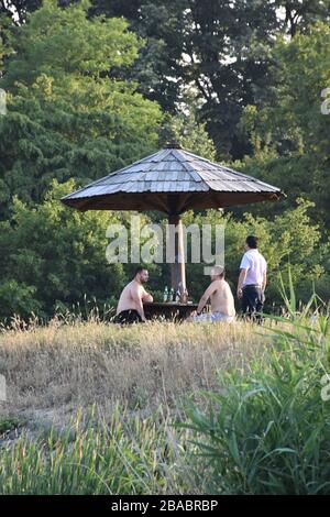 Banc en bois avec table et toit dans un environnement naturel. Trois hommes aiment la nature Banque D'Images