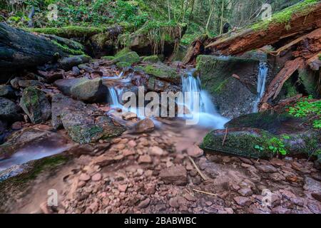 Petit ruisseau dans la gorge de Wolfsschlucht près de Zwingenberg dans l'Odenwald, Allemagne. Banque D'Images