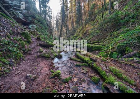 Petit ruisseau dans la gorge de Wolfsschlucht près de Zwingenberg dans l'Odenwald, Allemagne. Banque D'Images