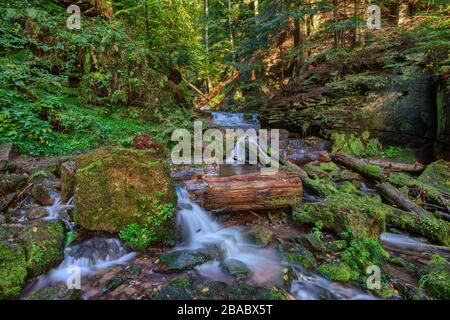 Petit ruisseau dans la gorge de Wolfsschlucht près de Zwingenberg dans l'Odenwald, Allemagne. Banque D'Images