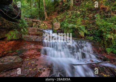 Petit ruisseau dans la gorge de Wolfsschlucht près de Zwingenberg dans l'Odenwald, Allemagne. Banque D'Images