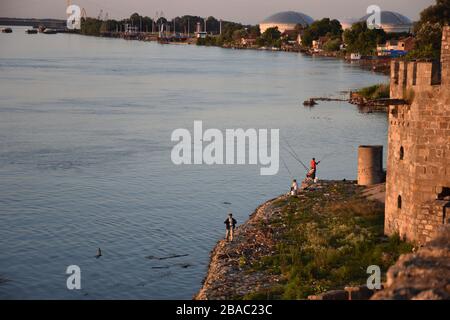 Rive du Danube près de la forteresse de Smederevo Banque D'Images