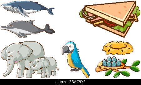 Grand ensemble d'animaux et d'autres objets sur fond blanc illustration Illustration de Vecteur