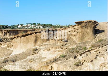 Réserve environnementale San Blas, San Miguel de Abona, Tenerife, Iles Canaries, Espagne Banque D'Images