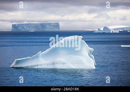 Iceberg dans la Manche Lemaire, péninsule Antarctique Banque D'Images