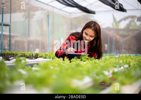 Agriculteur asiatique utilisant un comprimé et un carnet pour inspecter la qualité des légumes biologiques cultivés à l'aide d'hydroponiques. Banque D'Images