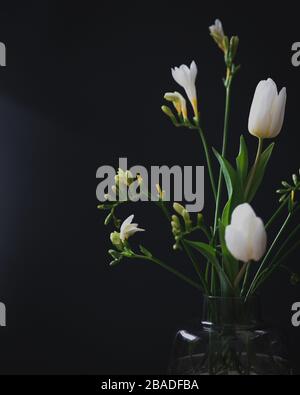 Bouquet de fleurs blanches et de tulipes en vase en verre - fond sombre isolé Banque D'Images