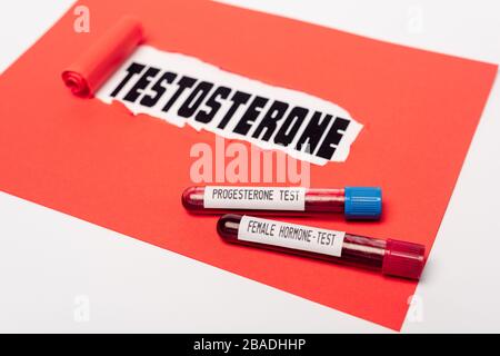 Vue rapprochée des tubes à essai contenant des échantillons de progestérone et d'hormone femelle à proximité du papier rouge avec lettrage à la testostérone sur fond blanc Banque D'Images