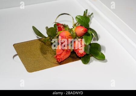 Carte bancaire dorée et petites roses magnifiques. Cadeau Banque D'Images