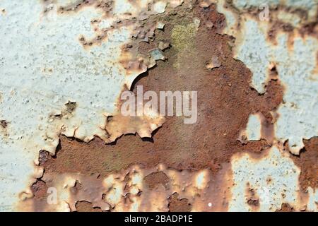 Surface métallique rouillée avec peinture blanche écaillée Banque D'Images