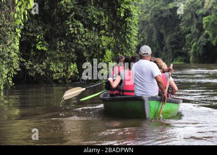 Les touristes explorent un espace naturel sauvage en bateau à ramer. Concept d'écotourisme. Parc national de Tortuguero. Costa Rica. Banque D'Images