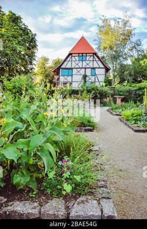 Jardin verdoyant avec plantes et fleurs à l'Écomusée d'Alsace, l'esco musée d'Alsace Banque D'Images