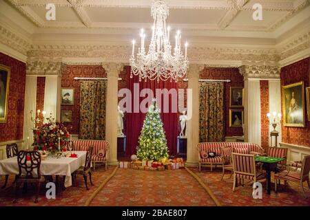 Un arbre de Noël joliment décoré entouré de cadeaux soigneusement enveloppés à l'intérieur de la maison Stourhead à Noël, Wiltshire, Angleterre, Royaume-Uni Banque D'Images