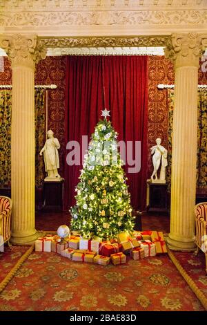 Un arbre de Noël joliment décoré entouré de cadeaux soigneusement enveloppés à l'intérieur de la maison Stourhead à Noël, Wiltshire, Angleterre, Royaume-Uni Banque D'Images