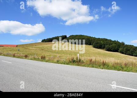 Vue sur le paysage du Ballon d'Alsace, Grand Balloon, sommet / sommet dans les Vosges, Haut-Rhin en France Banque D'Images