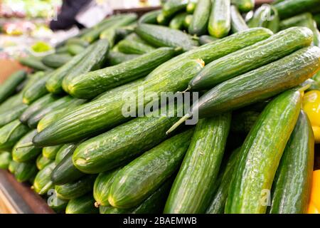 Vente de concombres frais. Concombre vert frais vendu sur le marché. Beaucoup de concombres. Banque D'Images