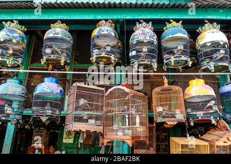 Oiseaux à vendre au marché aux oiseaux de Pramuka, Jakarta, Indonésie. Banque D'Images