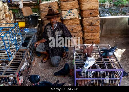 Un homme vendant des oiseaux au marché des oiseaux de Pramuka, Jakarta, Indonésie. Banque D'Images