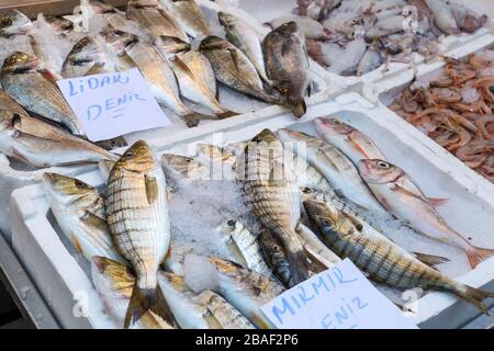 Poissons frais sur le marché historique Havra Street, Kemeralti, Izmir, Turquie. Banque D'Images