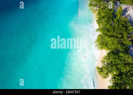 Vue aérienne de haut en bas par drone de la mer turquoise cristalline à côté de la forêt tropicale à Anse Lazio Beach, île de Praslin, Seychelles Banque D'Images