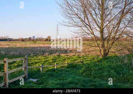 Walthamstow Marshes, North London, Royaume-Uni, au printemps Banque D'Images