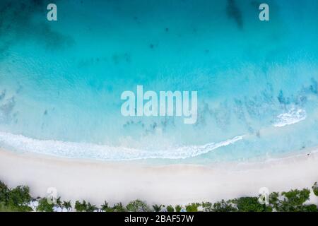 Vue aérienne de haut en bas par drone de l'eau turquoise cristalline et le lavage doux des vagues sur la plage de sable blanc, Mahé Island, Seychelles Banque D'Images