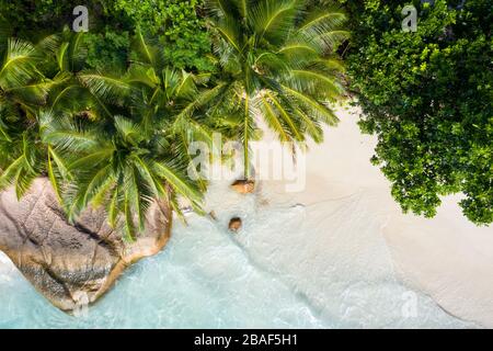 Vue aérienne sur la plage de l'Anse Lazio aux Seychelles Praslin Island Banque D'Images