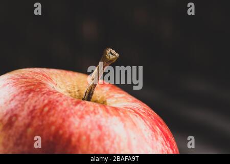 Fruits rouges à la pomme sur la table, image rapprochée Banque D'Images