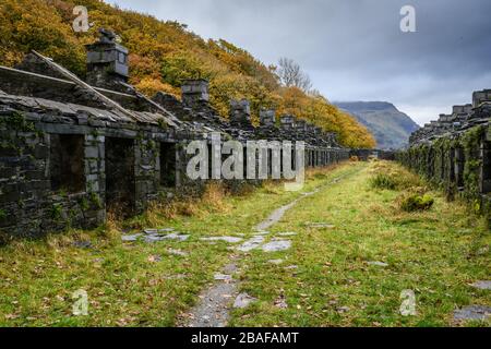 Casernes d'Anglesey - une rangée de cottages ruinés dans une carrière d'ardoise galloise Banque D'Images