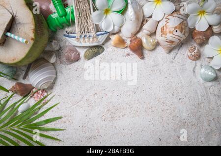 Coquillages et fleurs de plumeria sur fond de sable, copier l'espace pour le texte d'entrée et Voyage sur le concept de saison d'été Banque D'Images