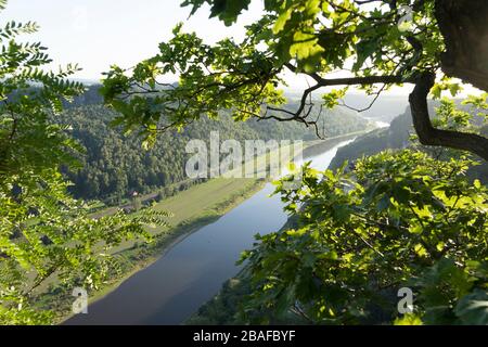 Vue sur la rivière Elbe allemande près de la Bastei l'après-midi en été, montagnes de grès d'Elbe, Parc national de la Suisse saxonne, État de Saxe, Banque D'Images