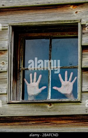 Photo verticale d'une fenêtre à quatre volets dans un mur de bois avec les mains d'une femme pressée contre deux de la panea comme si on essayait de s'échapper. Banque D'Images