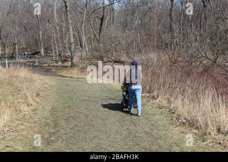 Femme poussant un bébé poussette sur un chemin herbacé à Linne Woods à Morton Grove, Illinois Banque D'Images