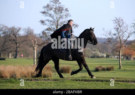 Une personne qui monte un cheval dans Richmond Park alors que le Royaume-Uni continue de se verrouiller pour aider à freiner la propagation du coronavirus. Banque D'Images