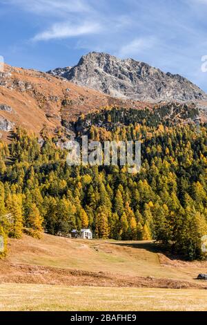 La nature, les bois, les rivières des alpes pendant une journée d'automne près du village de sankt Moritz, Suisse. Banque D'Images