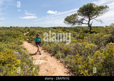 Woman hiker walking the coast path west of Alporchinhas, Algarve, Portugal Banque D'Images