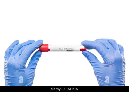 Mains glovées d'une fiole de retenue d'infirmière ou d'virologue avec échantillon de sang pour test covid19 sur fond blanc en isolement Banque D'Images